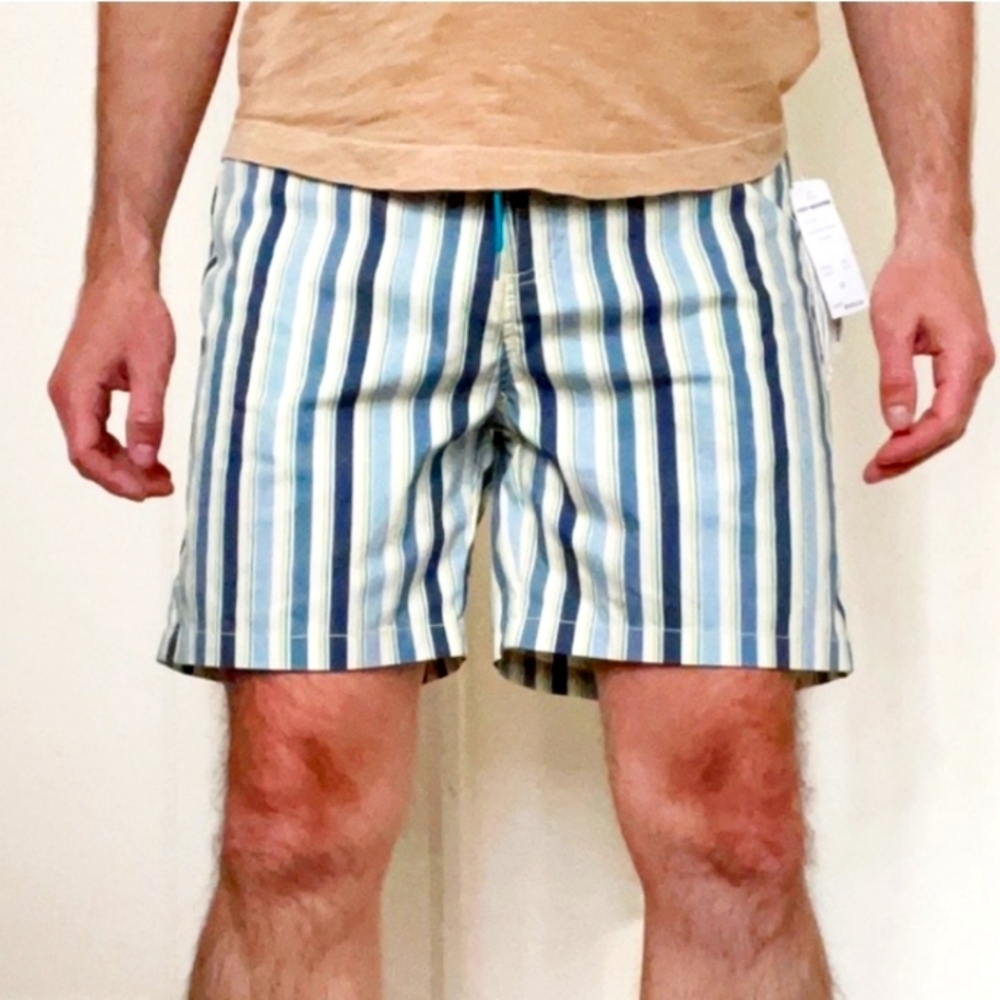 Reyn Spooner Stripe 6” Surf Swim Trunks shorts sz 32 NEW